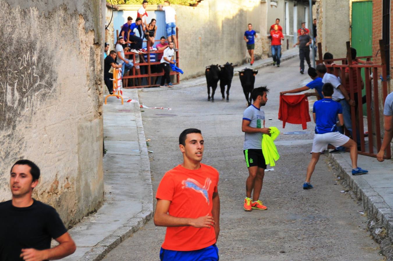 Segundo encierro de las fiestas de Ciguñuela