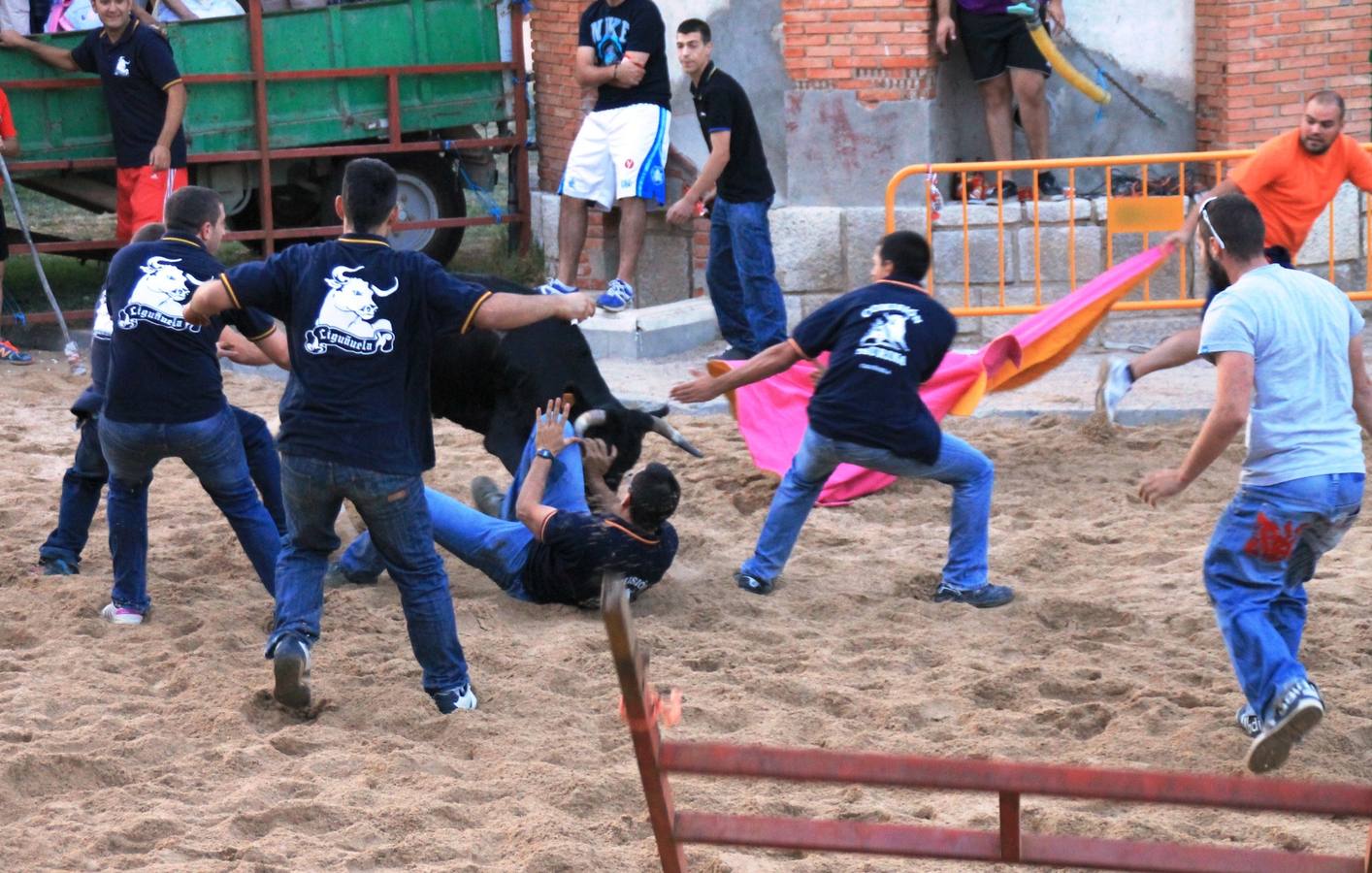 Segundo encierro de las fiestas de Ciguñuela