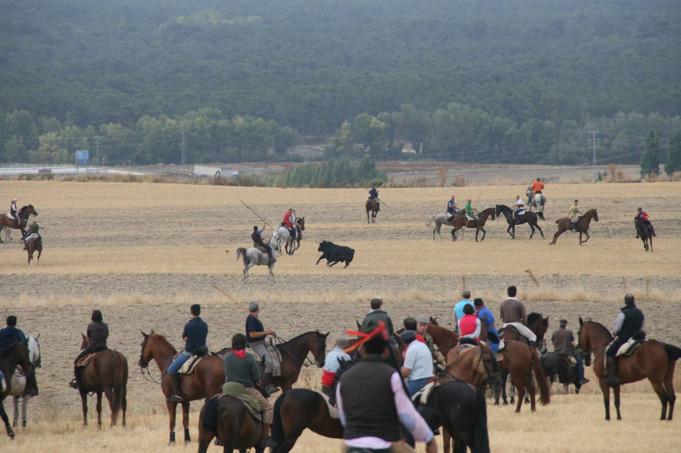 Segundo encierro de las fiestas de Cuéllar (Segovia)