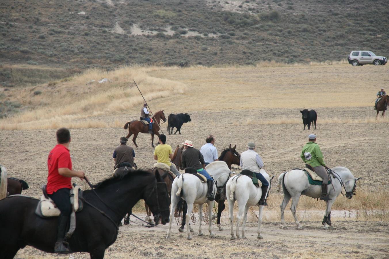 Segundo encierro de las fiestas de Cuéllar (Segovia)