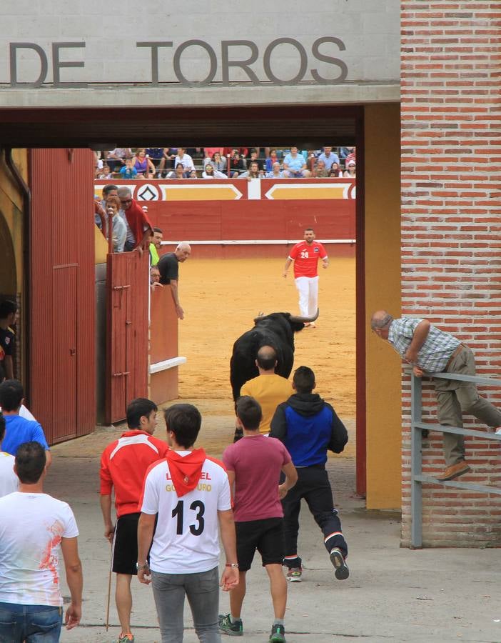 Segundo encierro de las fiestas de Cuéllar (Segovia)