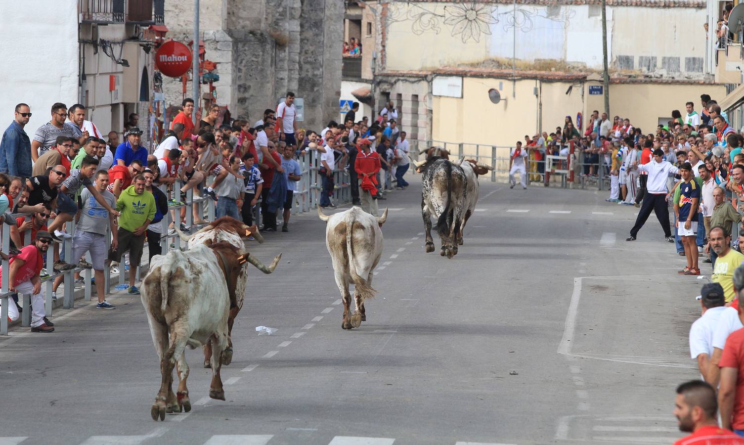 Segundo encierro de las fiestas de Cuéllar (Segovia)