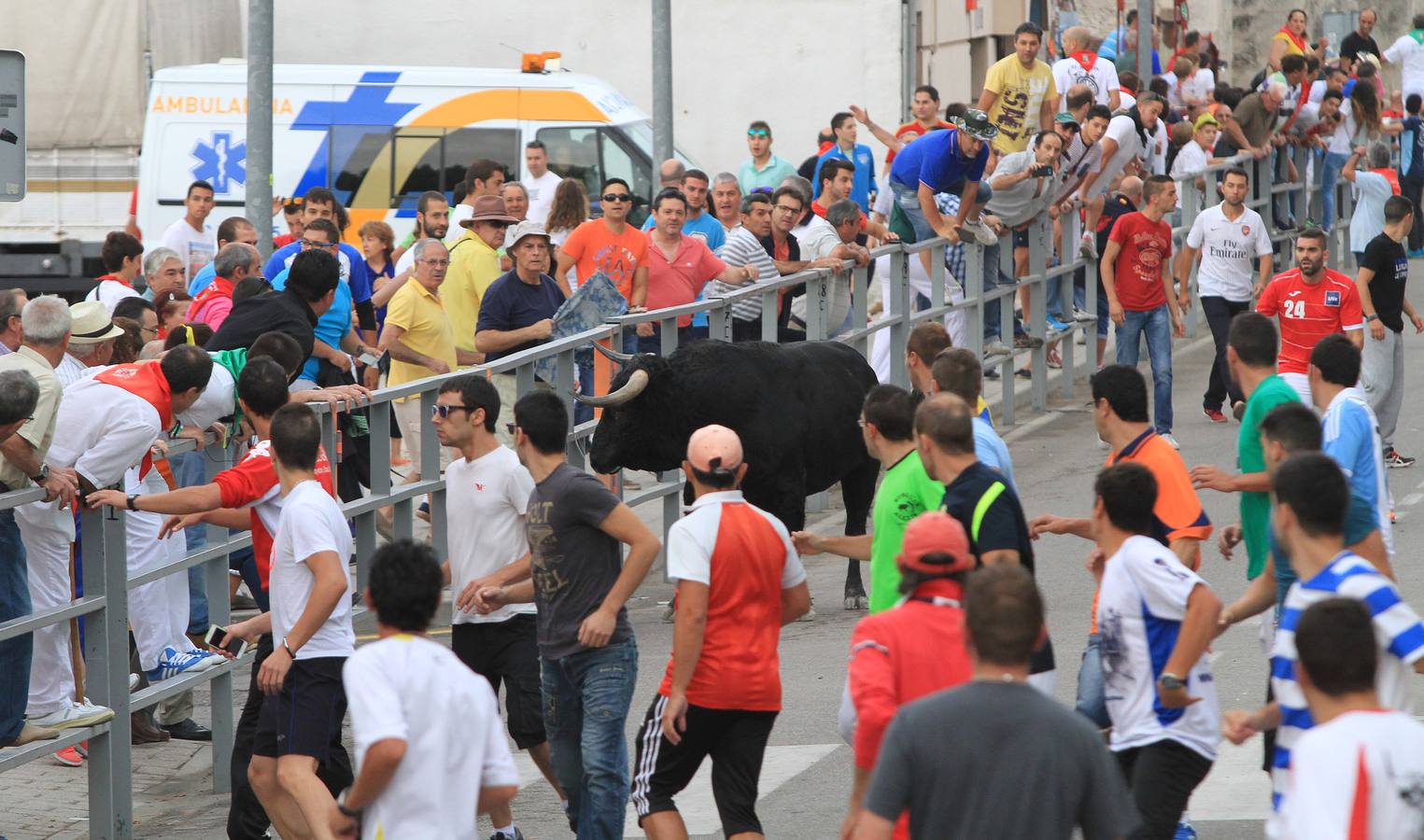 Segundo encierro de las fiestas de Cuéllar (Segovia)