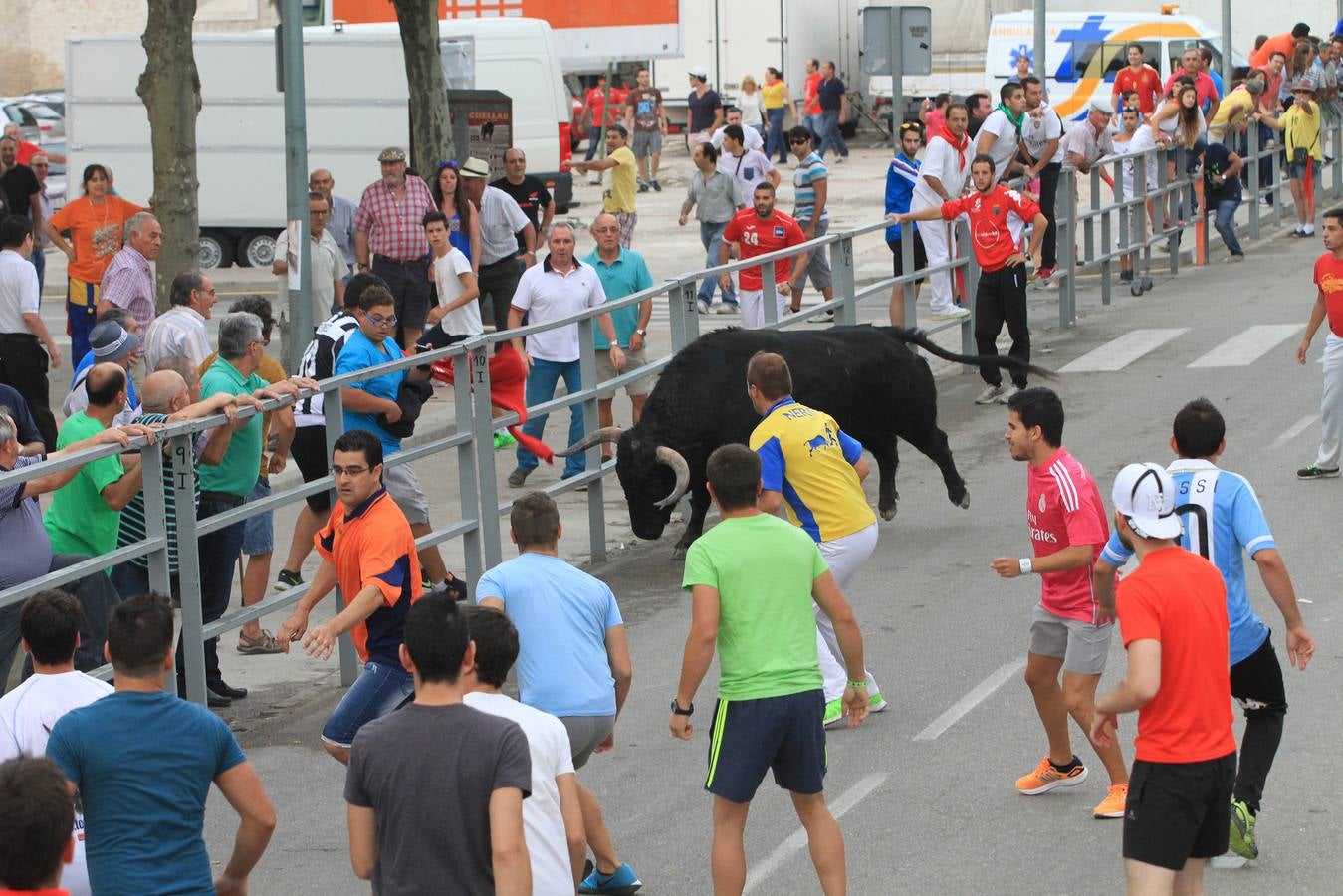 Segundo encierro de las fiestas de Cuéllar (Segovia)