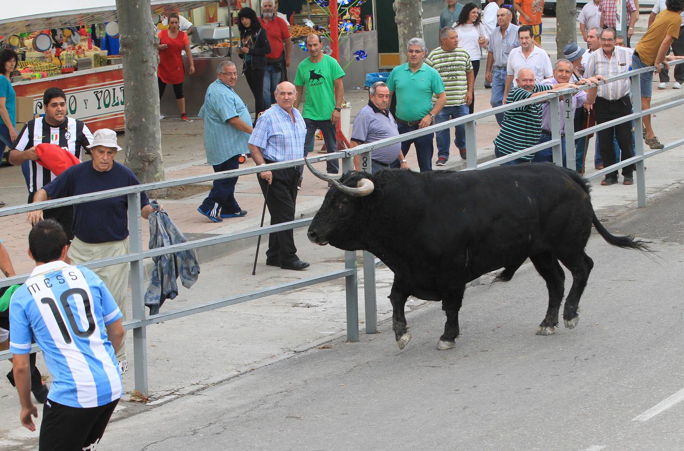 Segundo encierro de las fiestas de Cuéllar (Segovia)