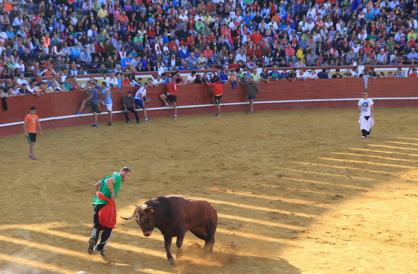 Tercer encierro de las fiestas de Cuéllar (Segovia)