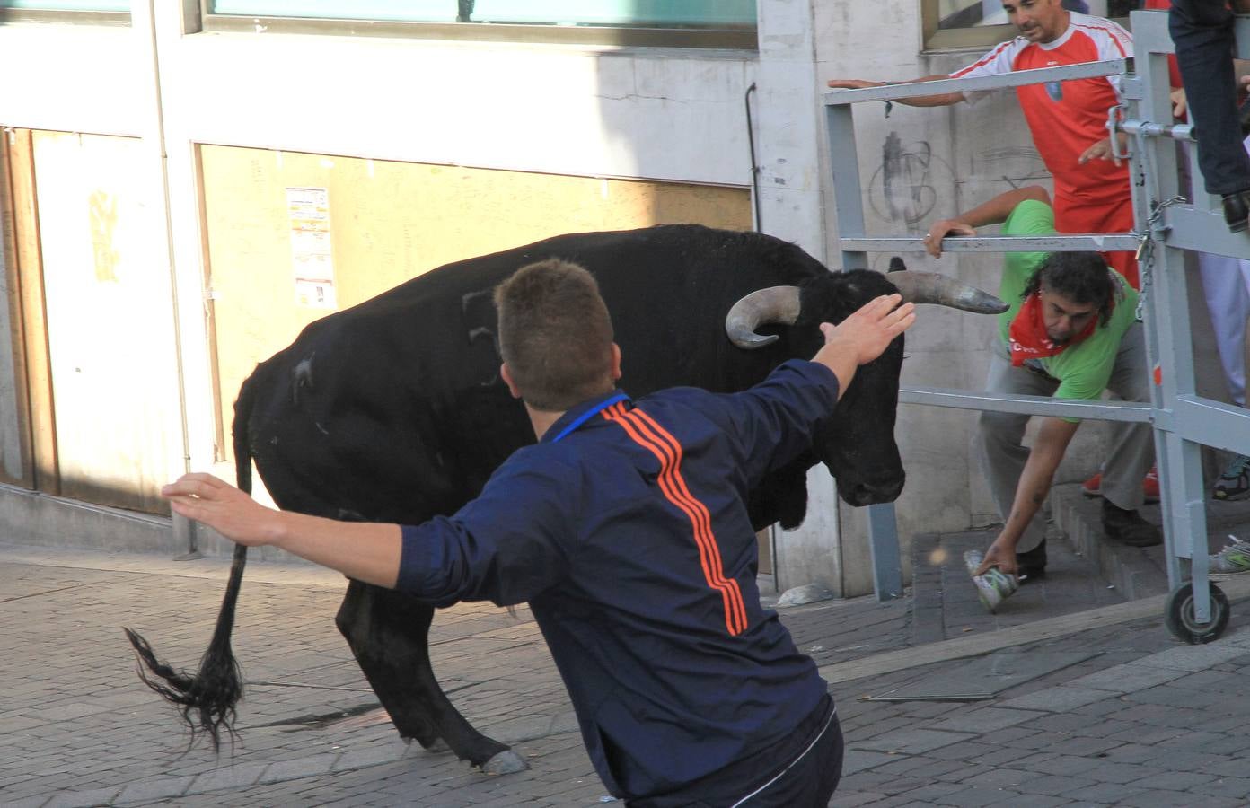 Tercer encierro de las fiestas de Cuéllar (Segovia)