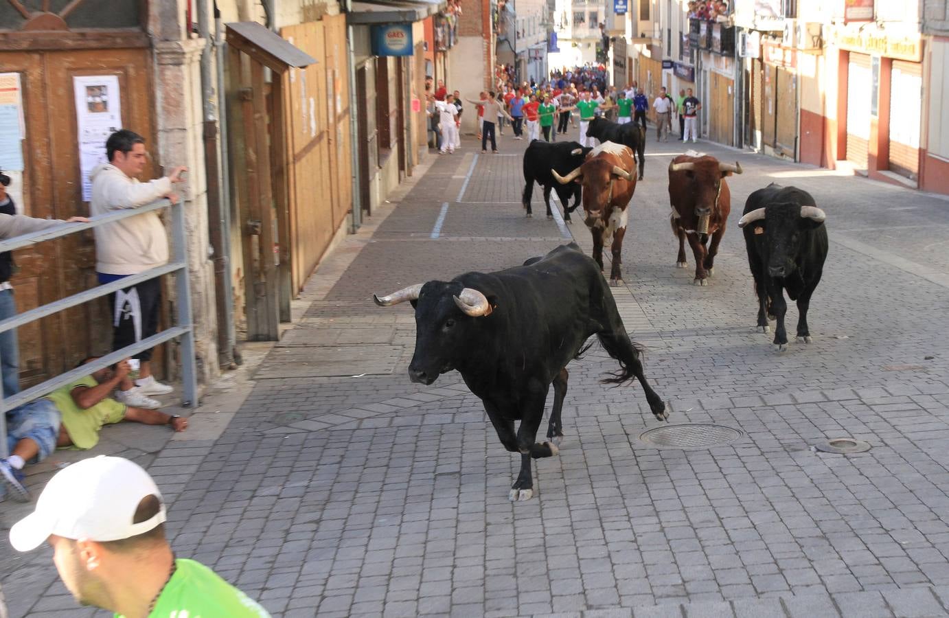 Tercer encierro de las fiestas de Cuéllar (Segovia)