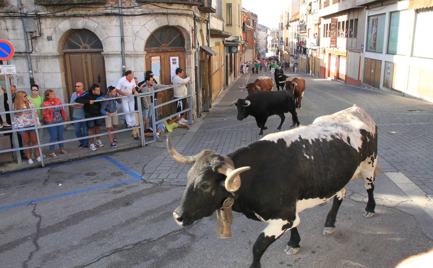 Tercer encierro de las fiestas de Cuéllar (Segovia)