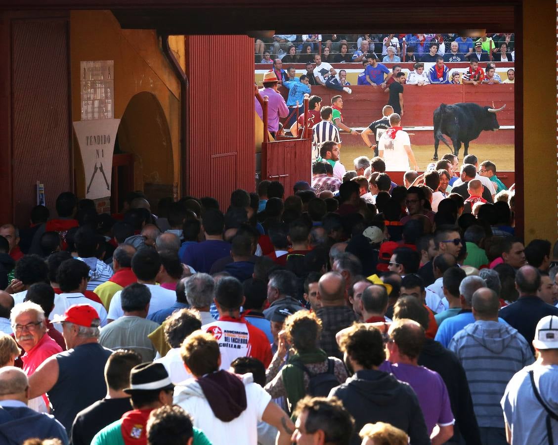 Cuarto encierro de las fiestas de Cuéllar (Segovia)