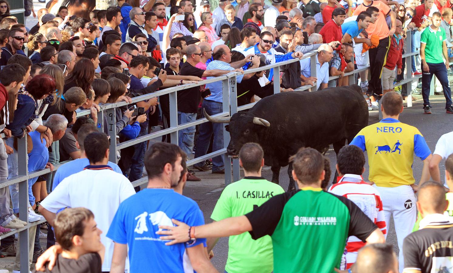 Cuarto encierro de las fiestas de Cuéllar (Segovia)