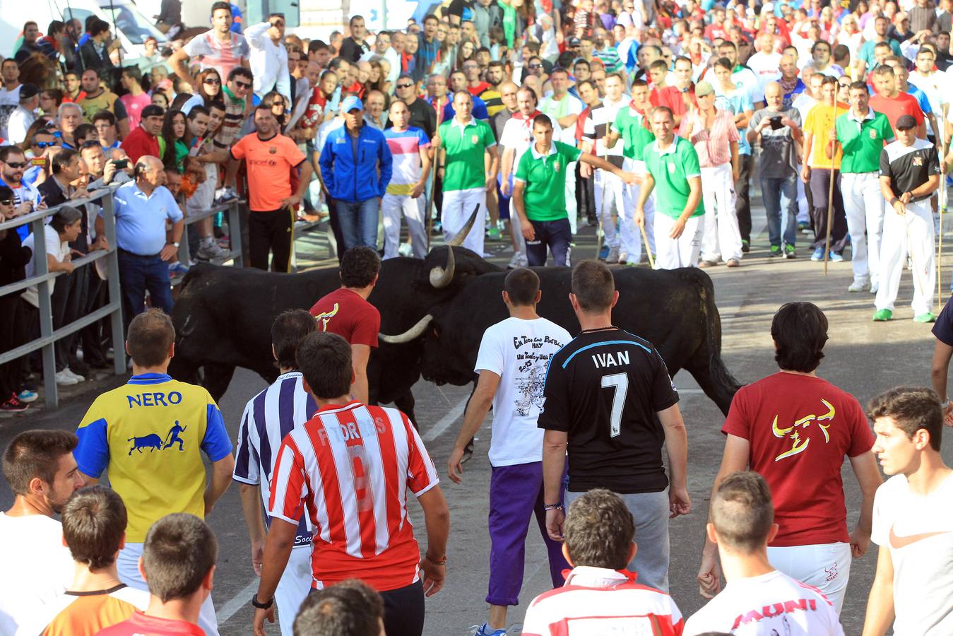 Cuarto encierro de las fiestas de Cuéllar (Segovia)