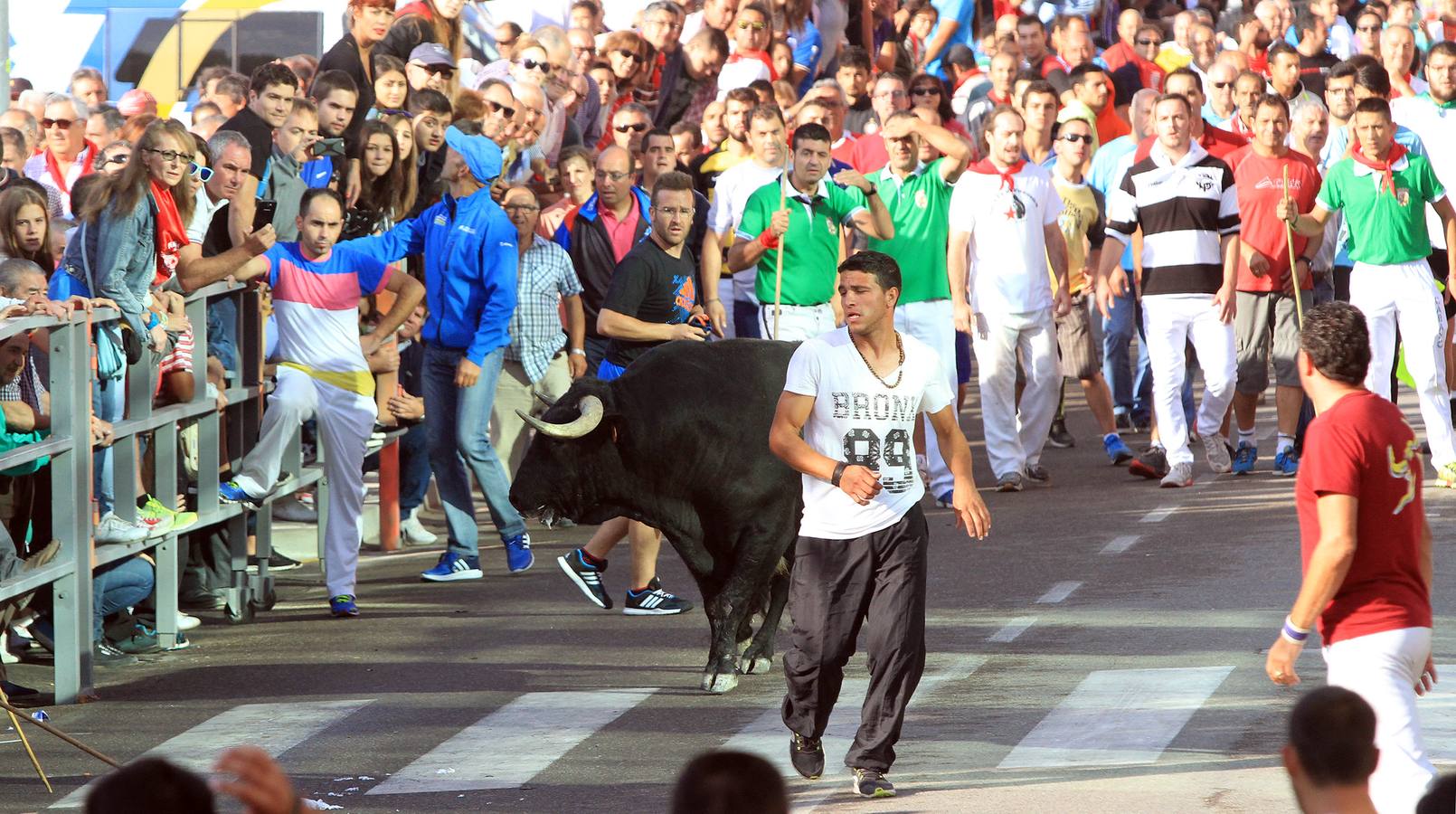 Cuarto encierro de las fiestas de Cuéllar (Segovia)