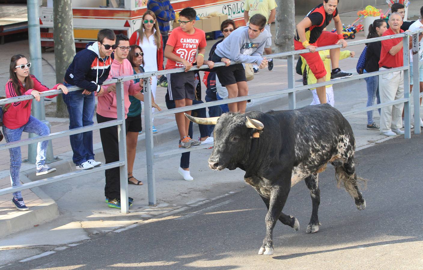 Cuarto encierro de las fiestas de Cuéllar (Segovia)