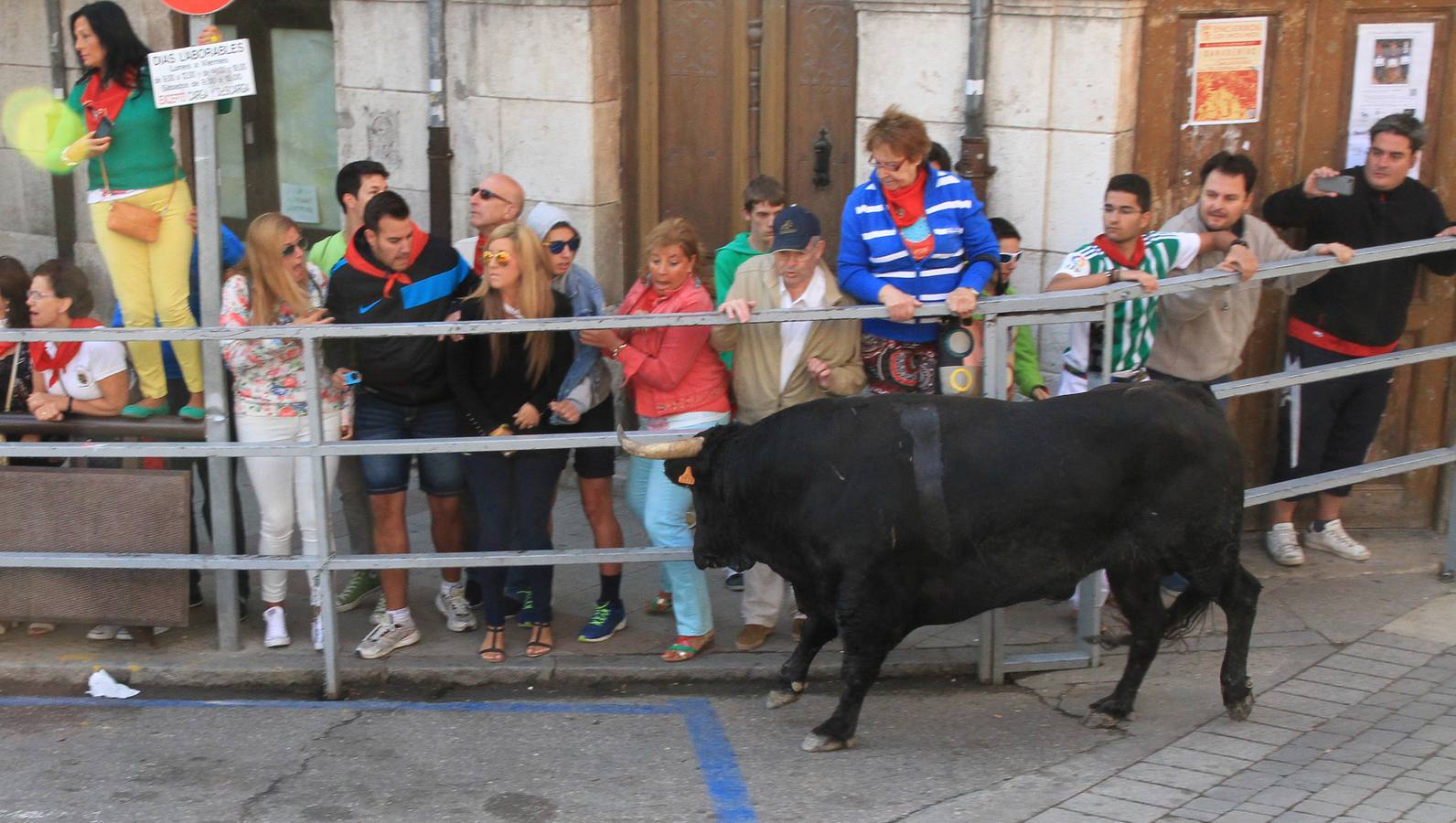 Quinto y último encierro de las fiestas de Cuéllar (Segovia)