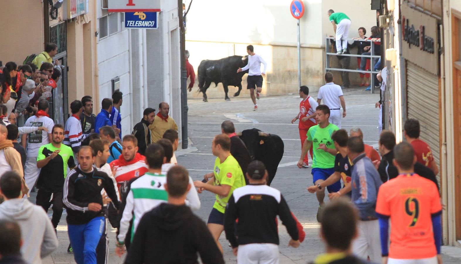 Quinto y último encierro de las fiestas de Cuéllar (Segovia)