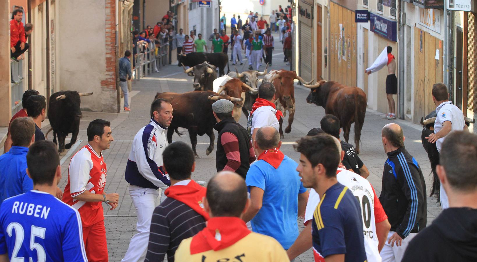 Quinto y último encierro de las fiestas de Cuéllar (Segovia)