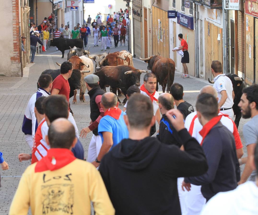 Quinto y último encierro de las fiestas de Cuéllar (Segovia)