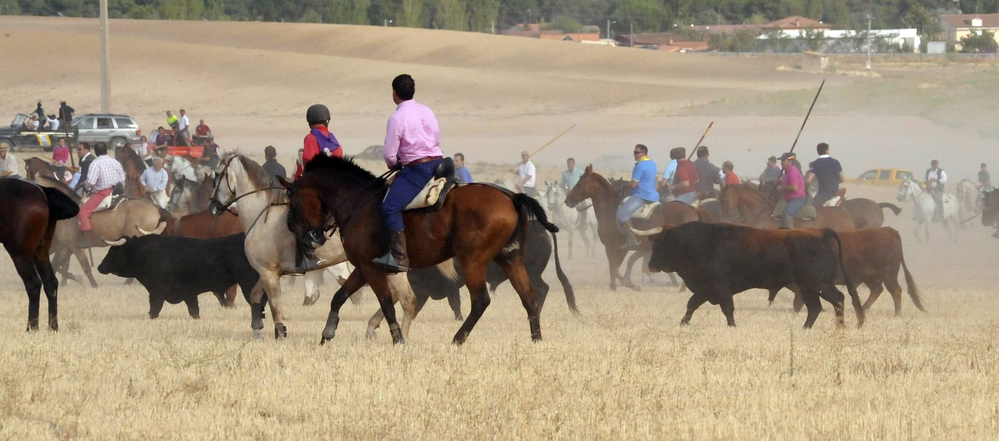 Segundo encierro de las fiestas de Medina del Campo 2015