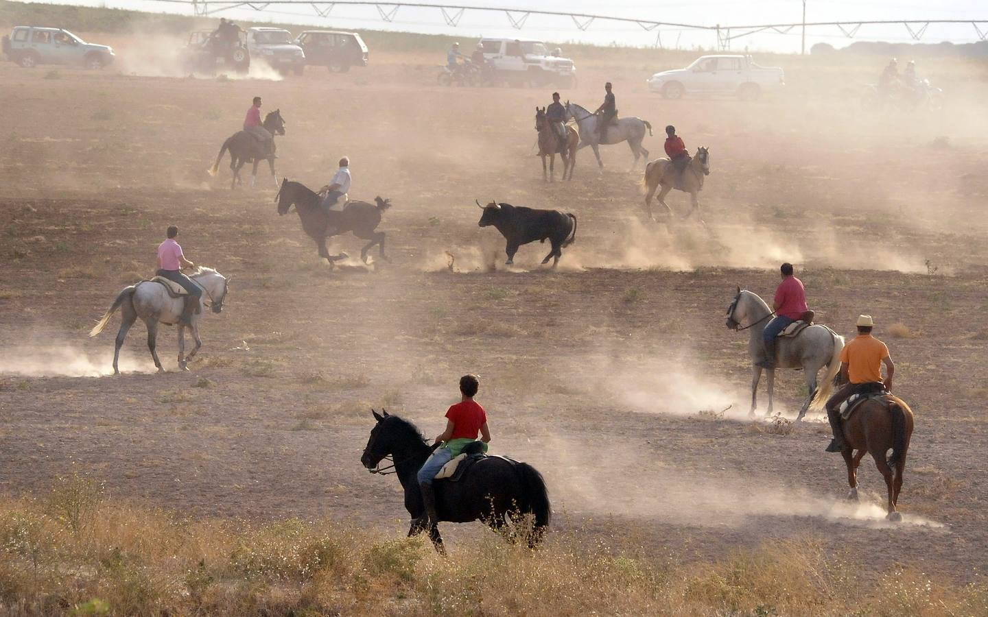 Segundo encierro de las fiestas de Medina del Campo 2015