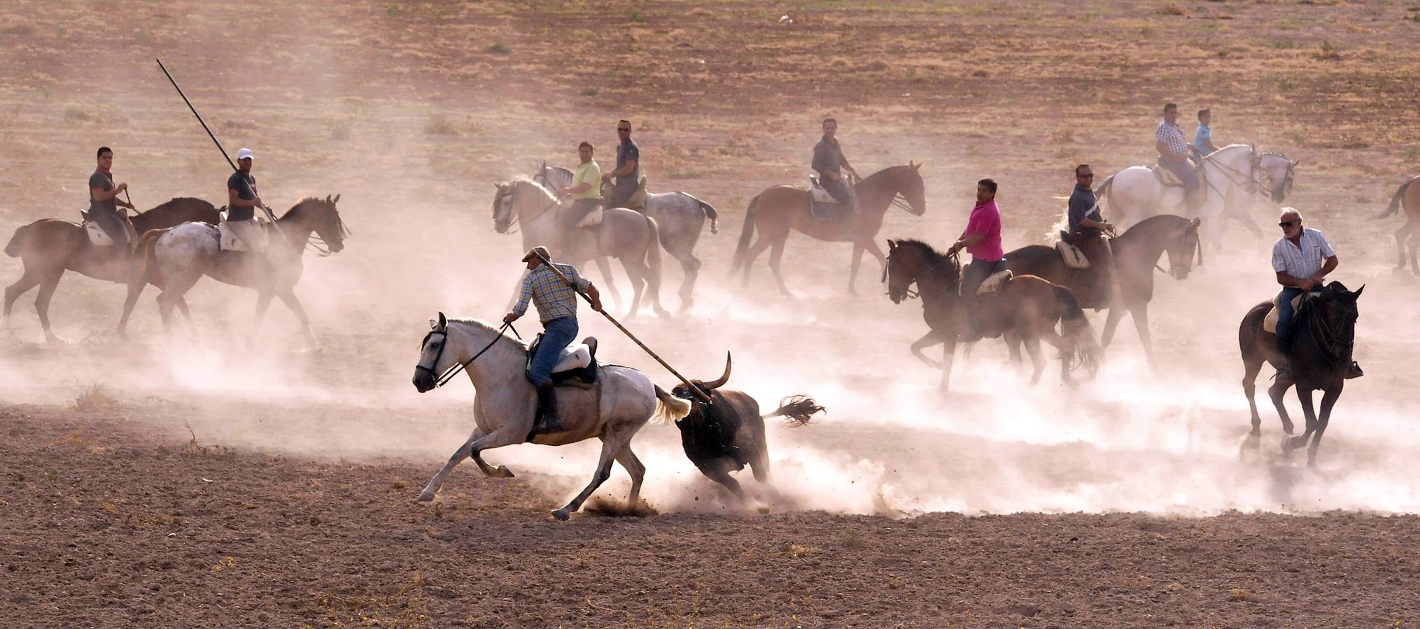 Segundo encierro de las fiestas de Medina del Campo 2015
