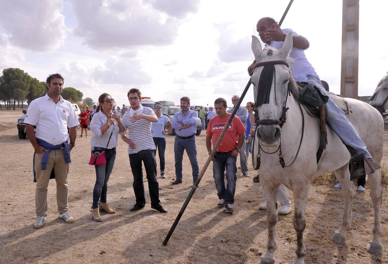 Segundo encierro de las fiestas de Medina del Campo 2015