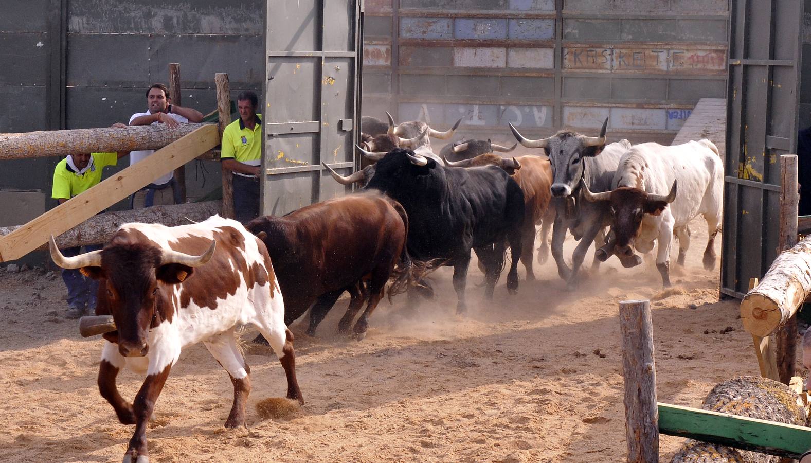 Segundo encierro de las fiestas de Medina del Campo 2015