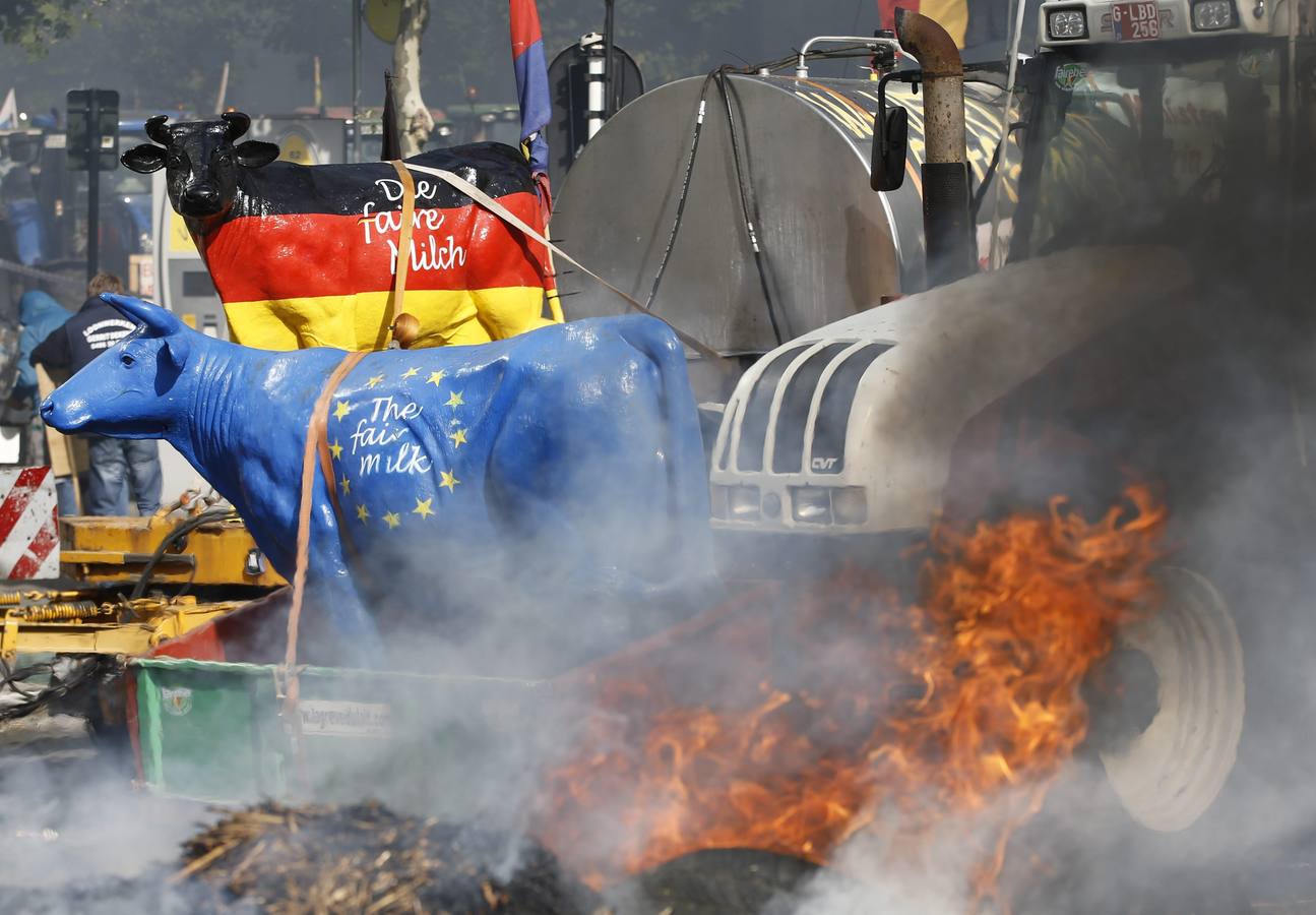 Miles de agricultores protestan en Bruselas contra la crisis del sector lácteo