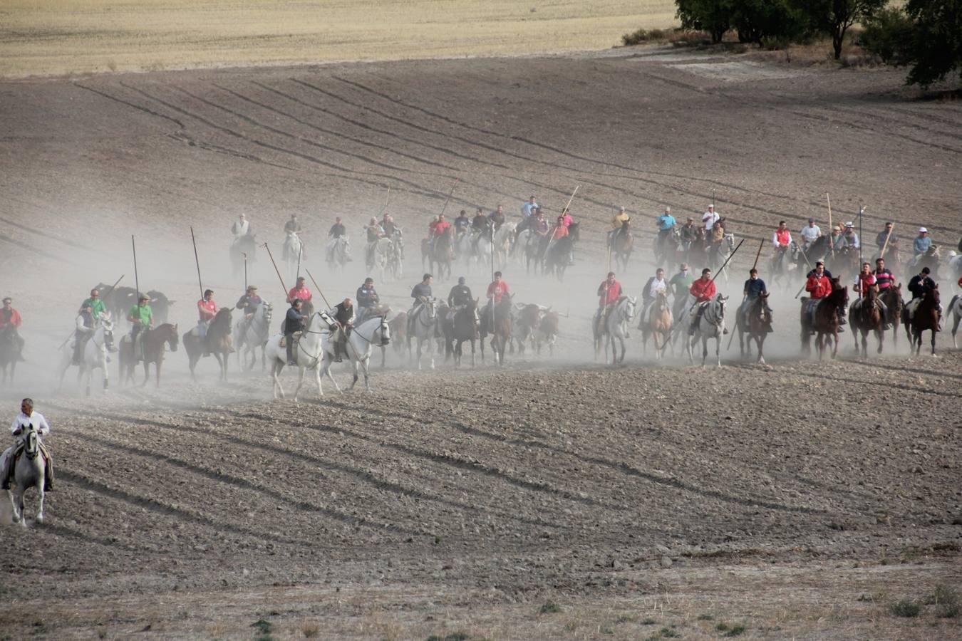 Primer encierro de las fiestas de Portillo (Valladolid)