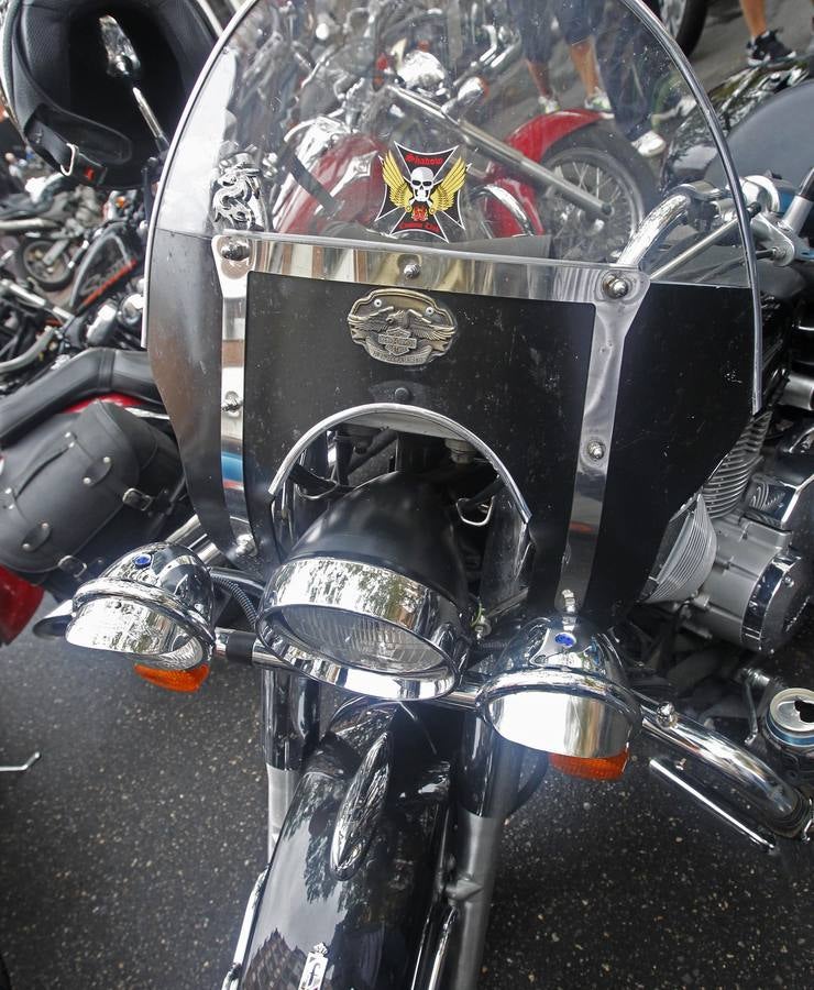 Reunión de Harley Davidson, Cafe Racer, Chopper...