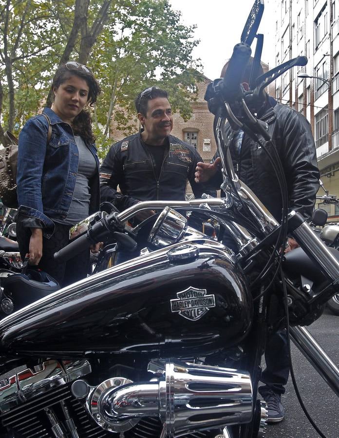 Reunión de Harley Davidson, Cafe Racer, Chopper...