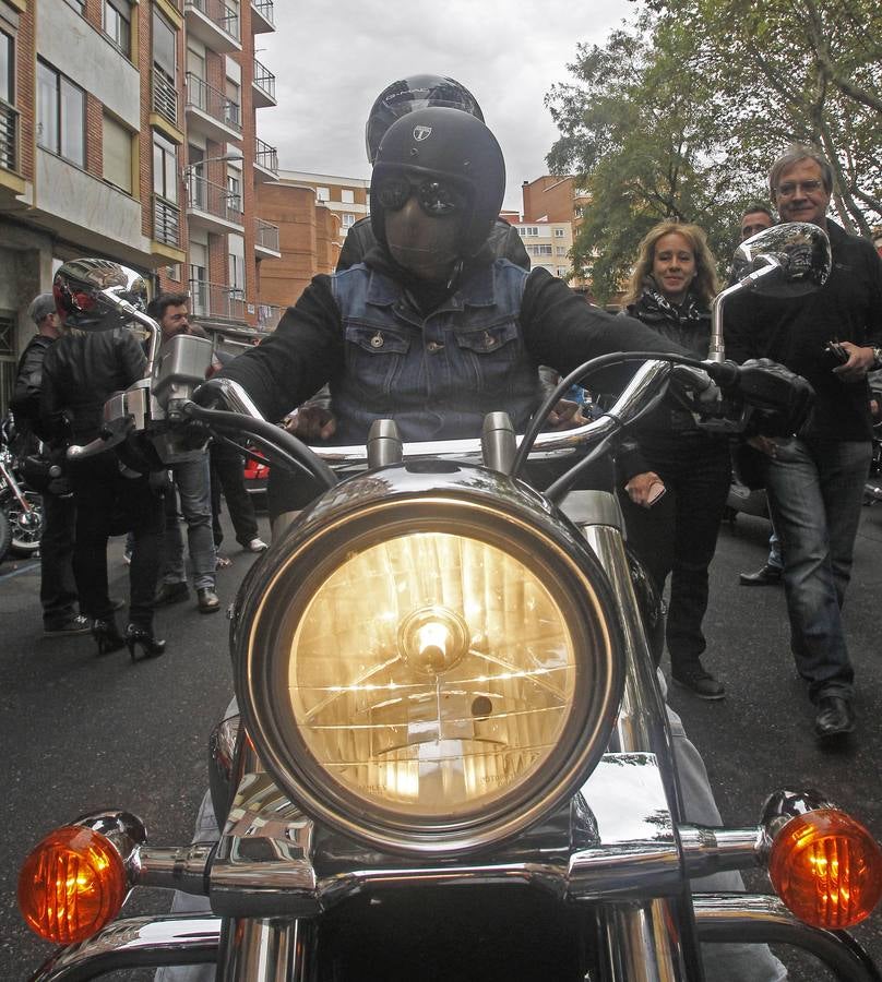 Reunión de Harley Davidson, Cafe Racer, Chopper...