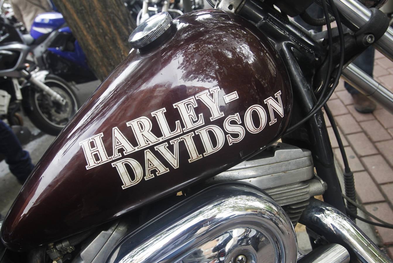 Reunión de Harley Davidson, Cafe Racer, Chopper...