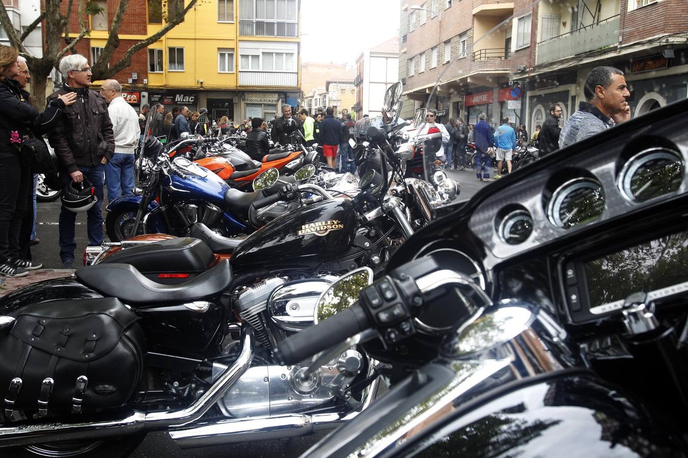 Reunión de Harley Davidson, Cafe Racer, Chopper...