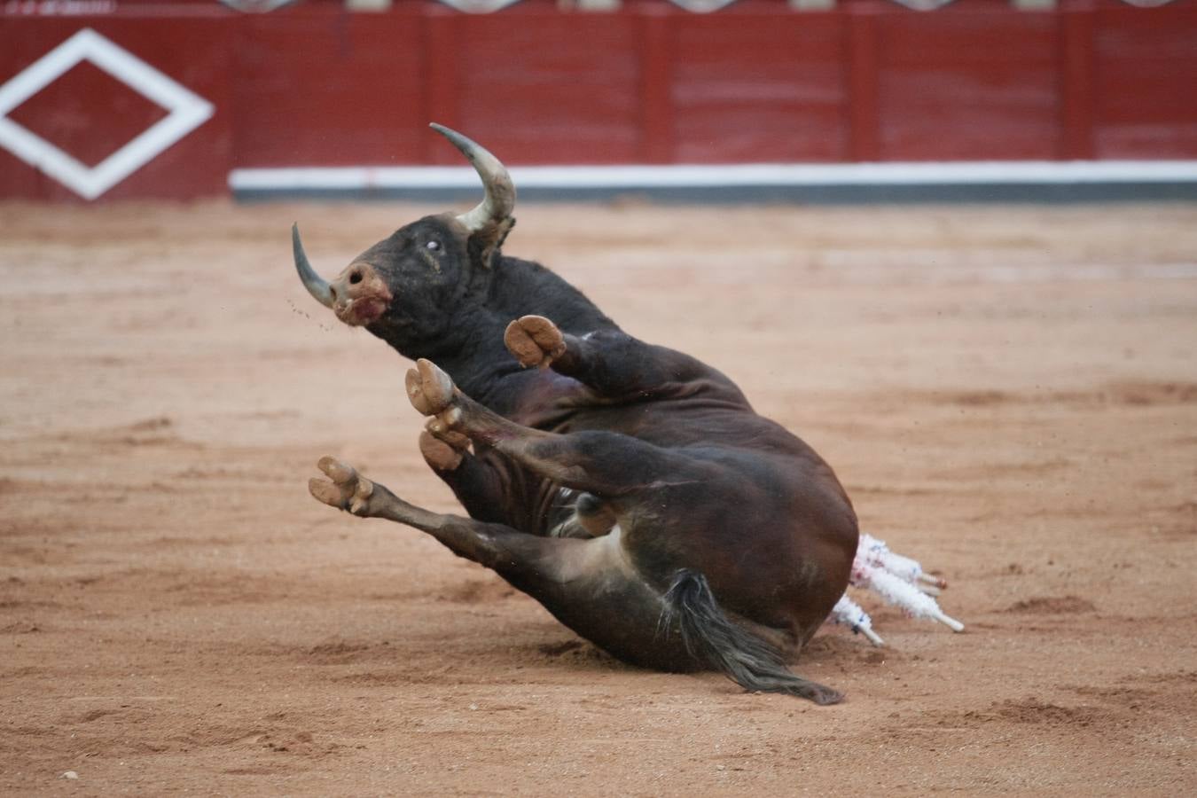 Corrida de toros en Salamanca con El Juli, Castella y Perera (2/3)