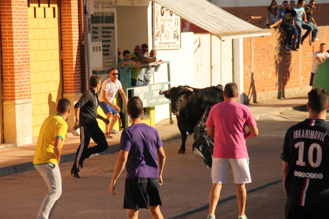 Toros de cajón en Valdestillas