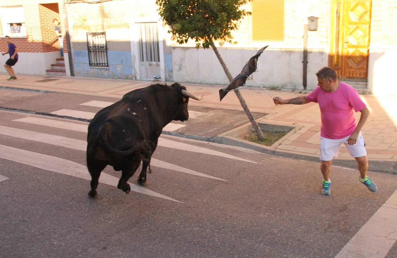 Toros de cajón en Valdestillas