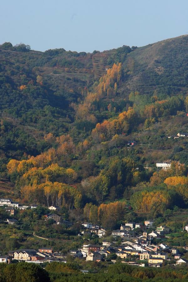 Otoño en El Bierzo (León).