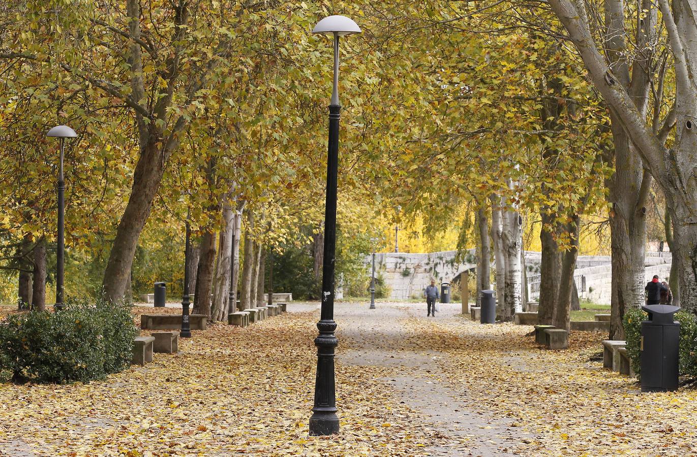 Las hojas cubren la zona de Puentecillas, en Palencia.