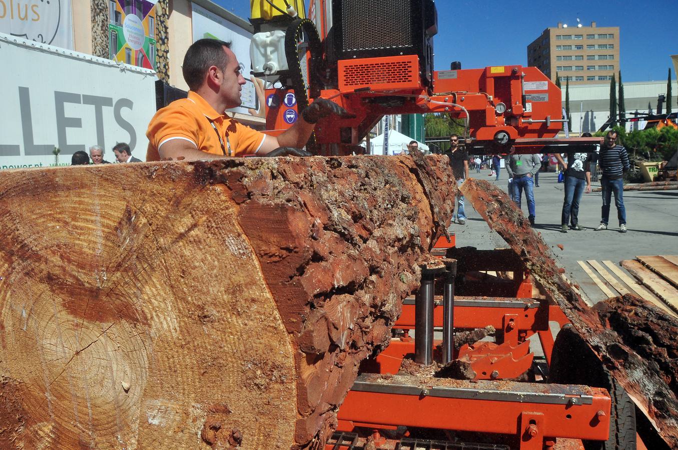 Inauguración de la X Feria Internacional Expobiomasa en Valladolid