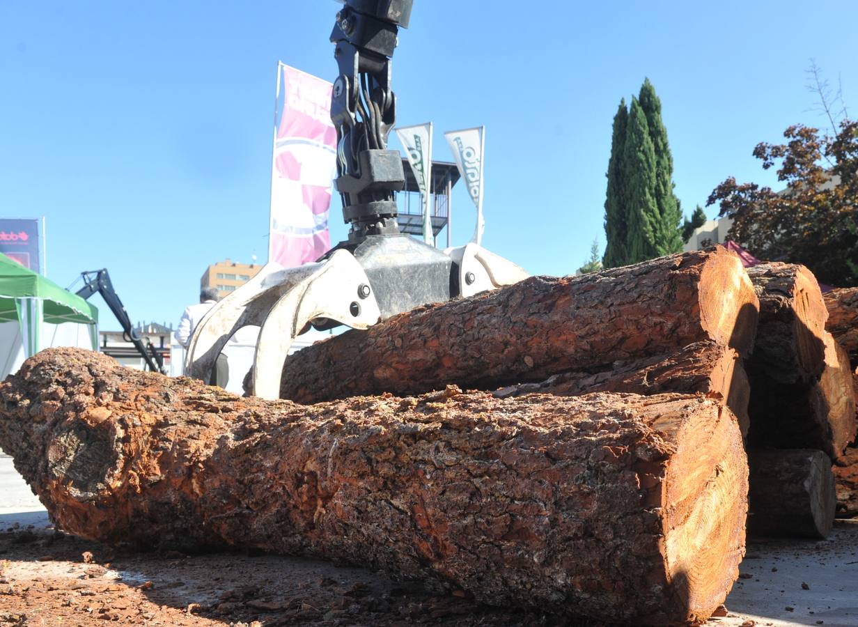 Inauguración de la X Feria Internacional Expobiomasa en Valladolid