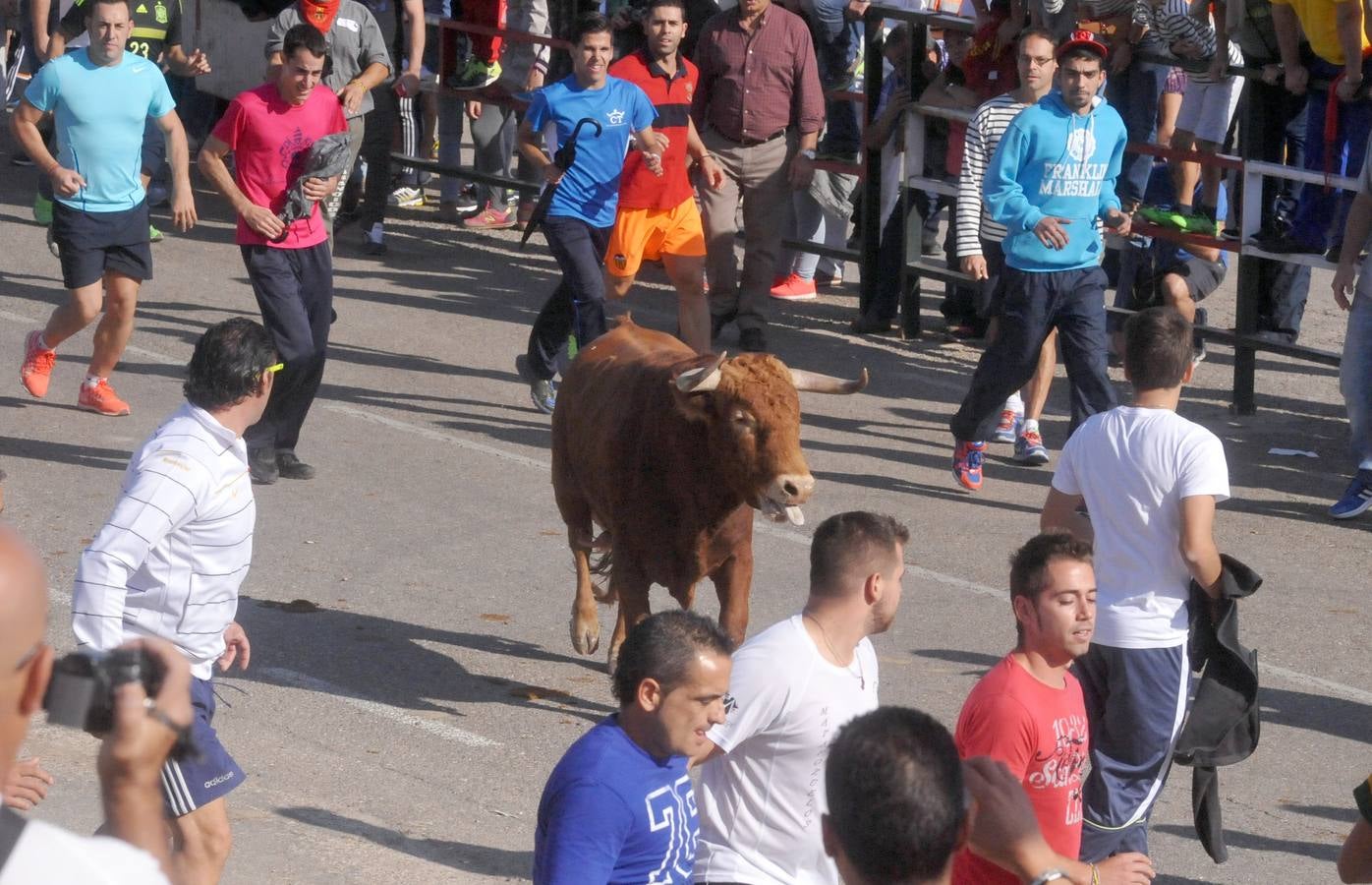 Tercer encierro de las Fiestas de Olmedo 2015