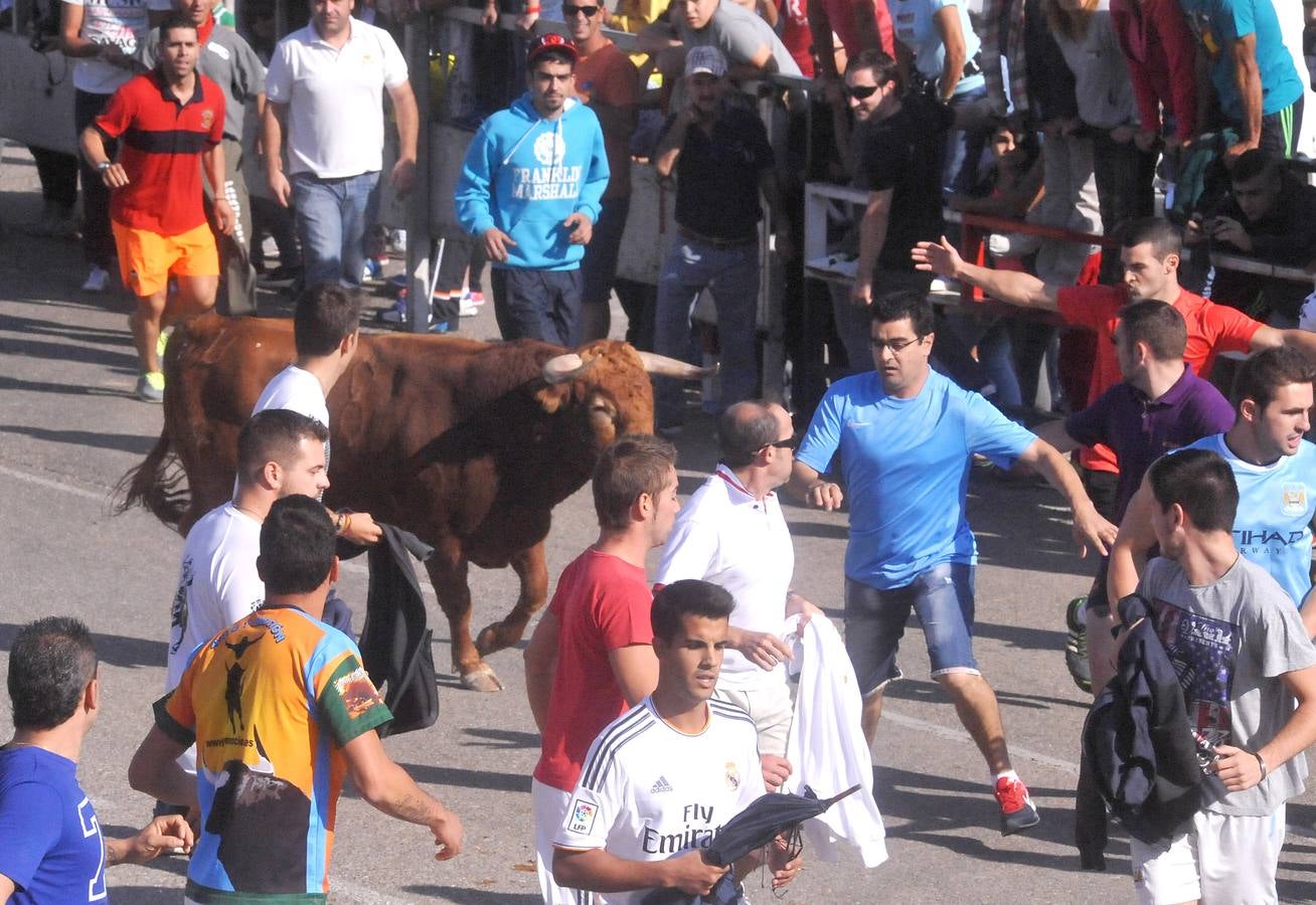 Tercer encierro de las Fiestas de Olmedo 2015