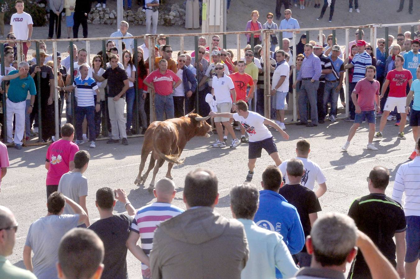 Tercer encierro de las Fiestas de Olmedo 2015