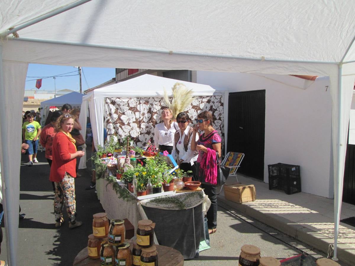 Recreación de las Vísperas Nupciales de la boda entre Felipe II y María Manuela de Portugal en Aldeatejada (Salamanca)