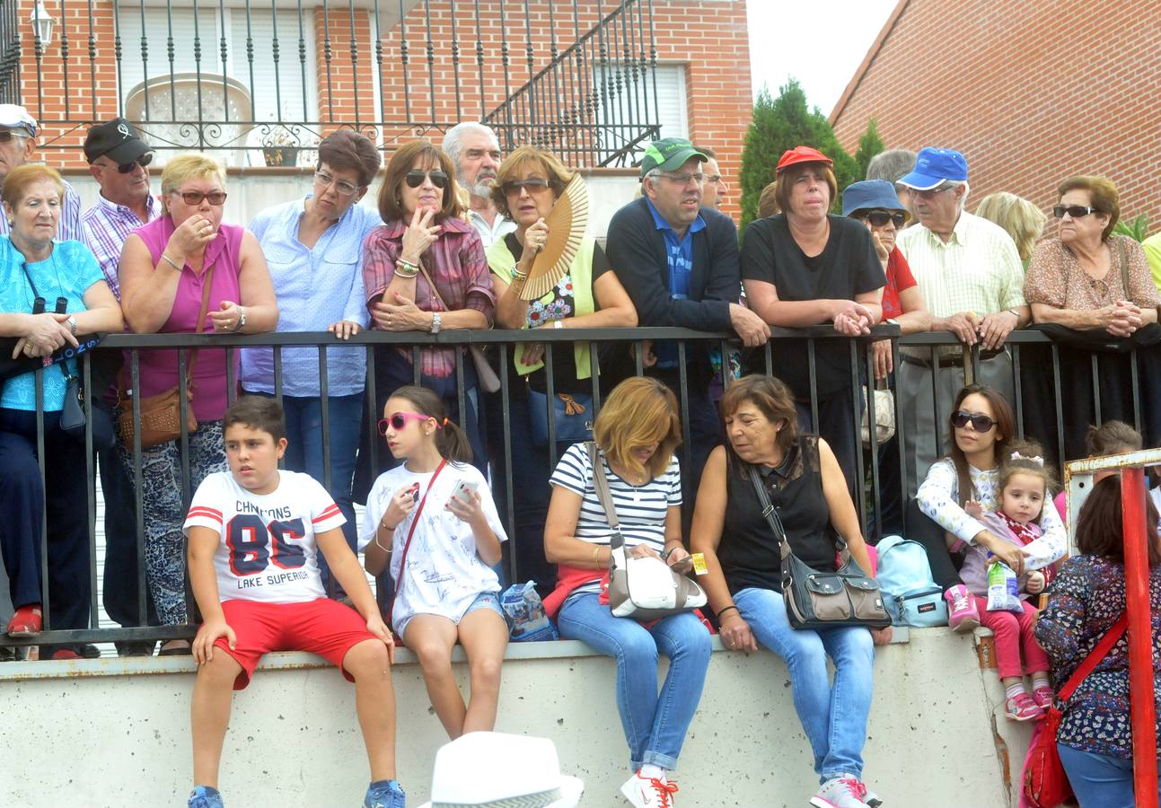 Último encierro de la fiestas de Olmedo 2015