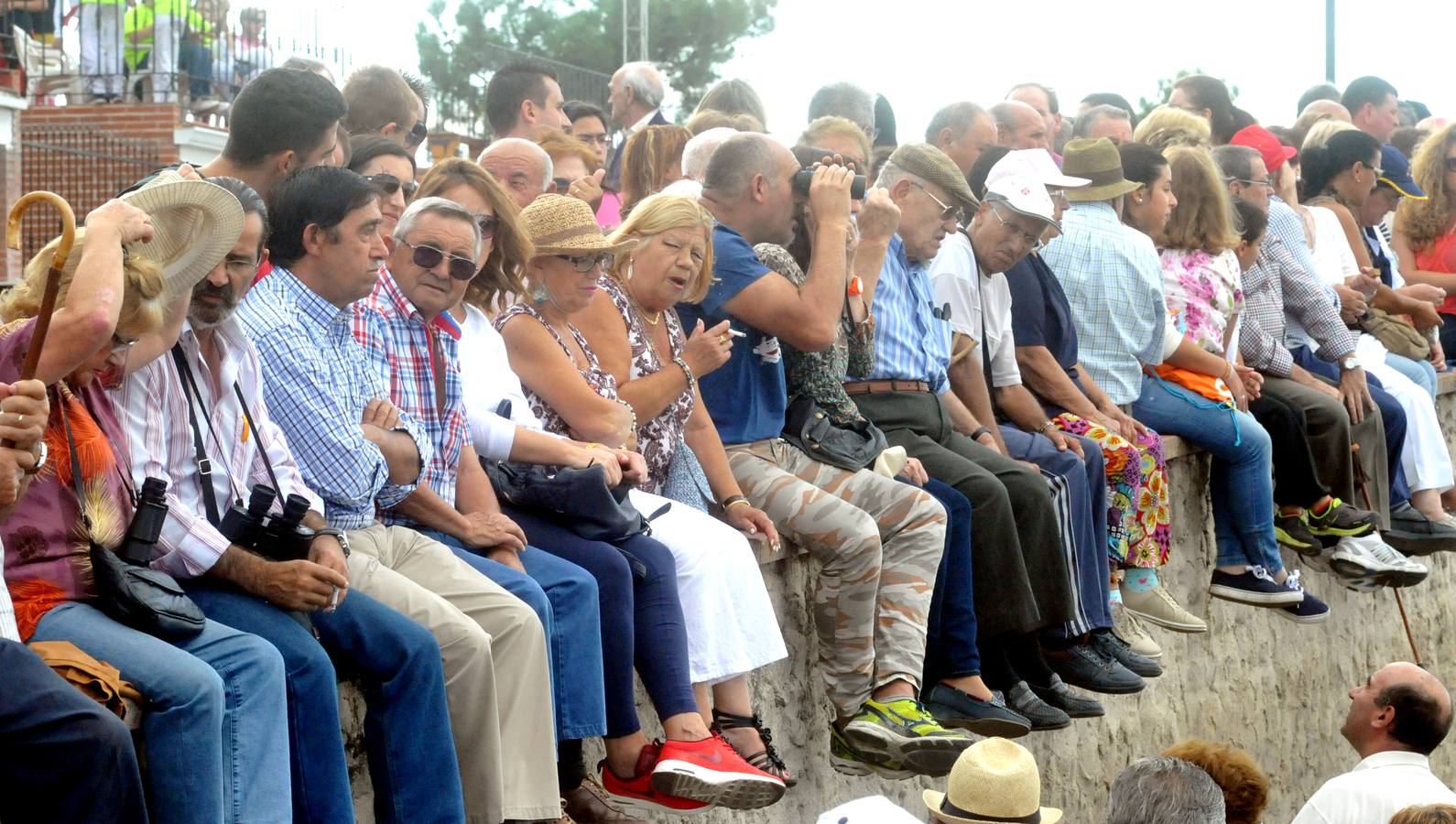 Último encierro de la fiestas de Olmedo 2015