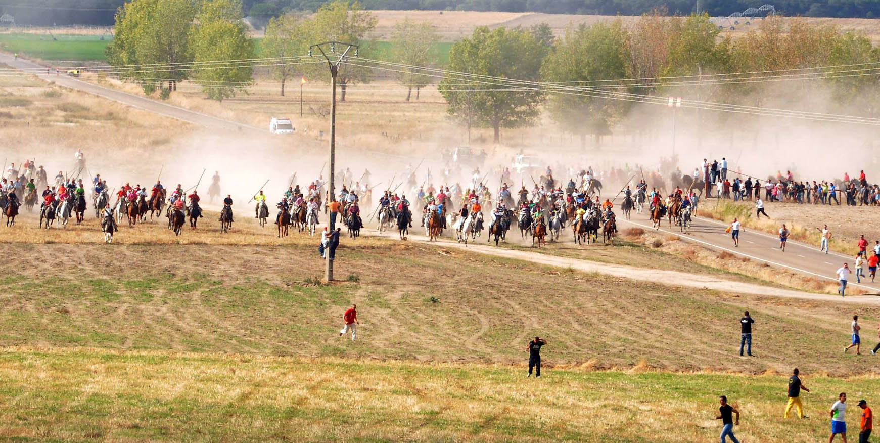 Último encierro de la fiestas de Olmedo 2015