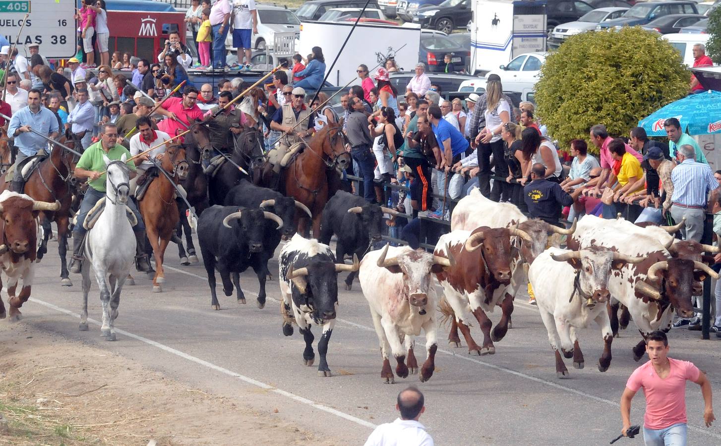 Último encierro de la fiestas de Olmedo 2015