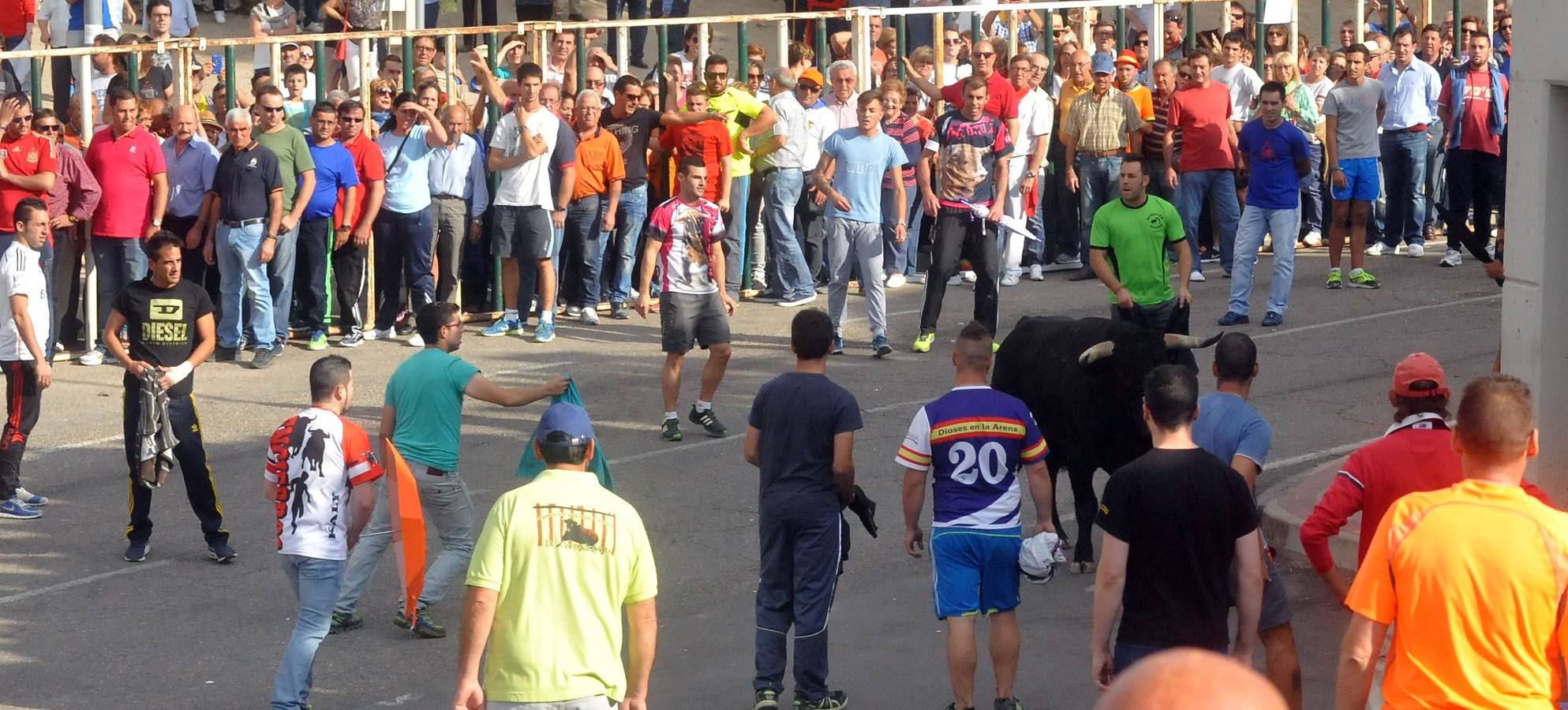 Último encierro de la fiestas de Olmedo 2015